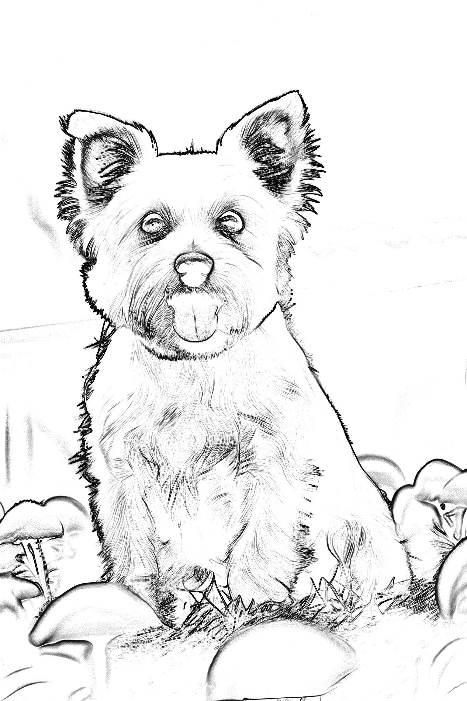 Hundeportraits Vol. 3 - White Dog Edition. 30 Wundervolle Hundeportraits. – Bild 9