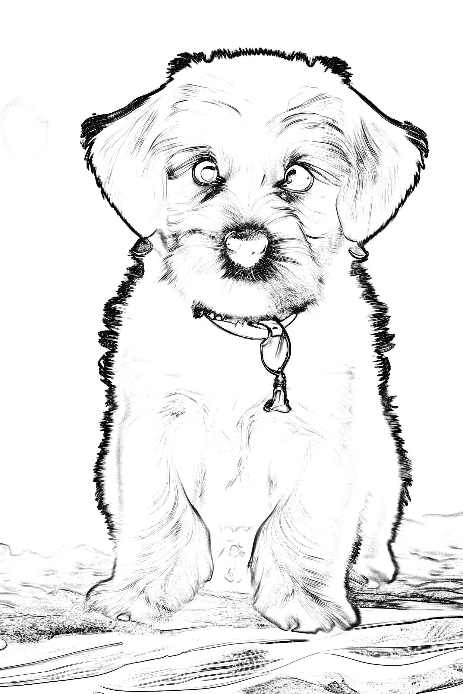Hundeportraits Vol. 3 - White Dog Edition. 30 Wundervolle Hundeportraits. – Bild 7