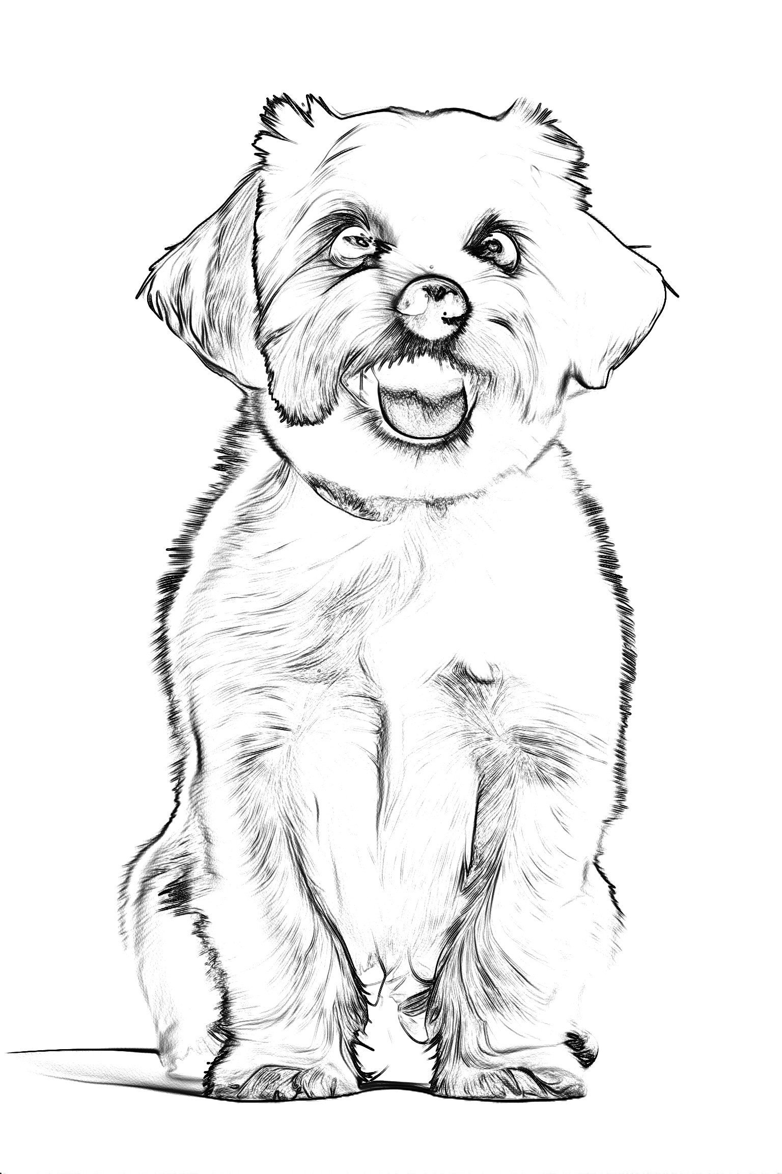 Hundeportraits Vol. 3 - White Dog Edition. 30 Wundervolle Hundeportraits. – Bild 6